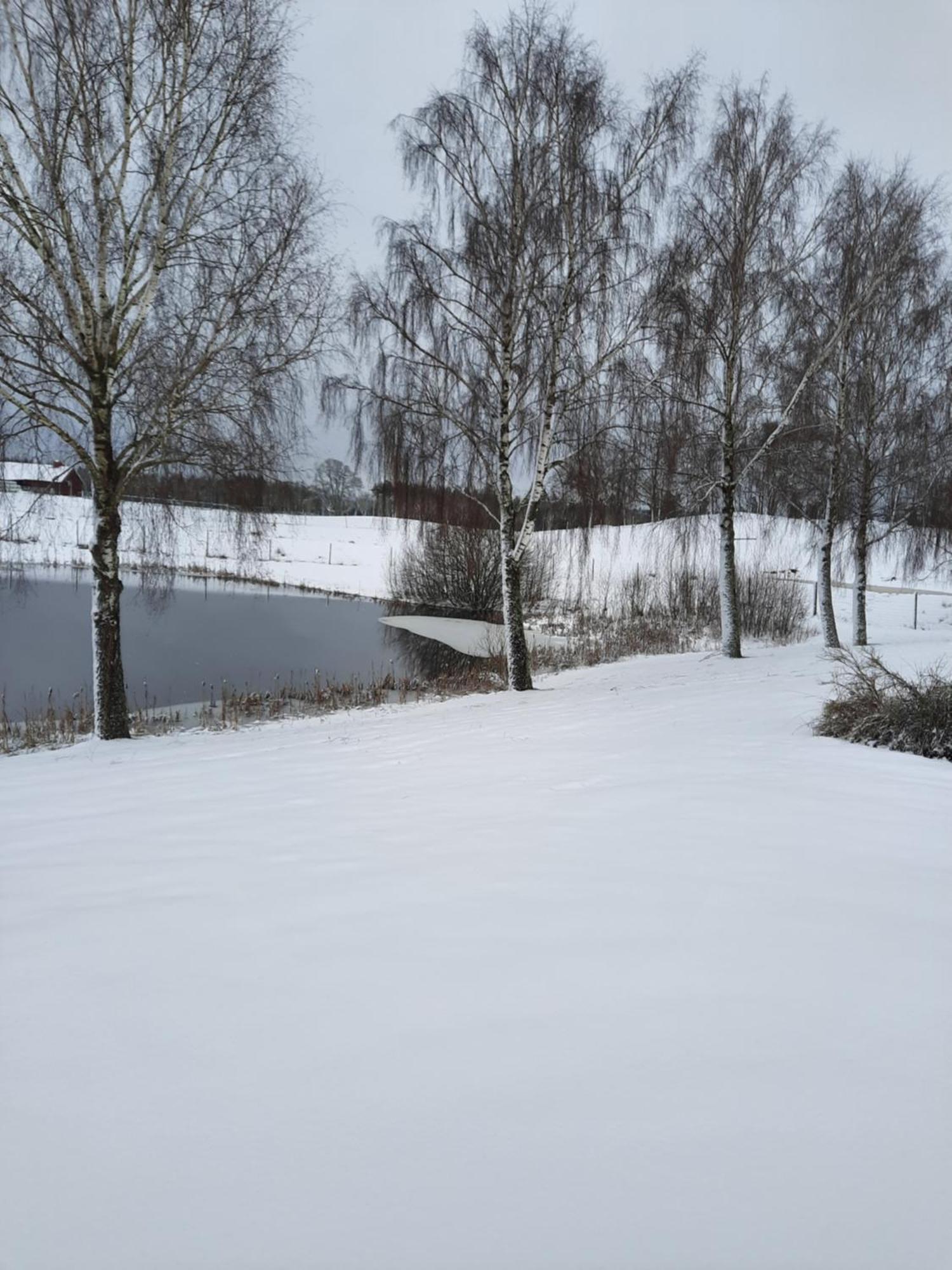 Sjoetorps Saeteris Stugby Villa Larv Oda fotoğraf